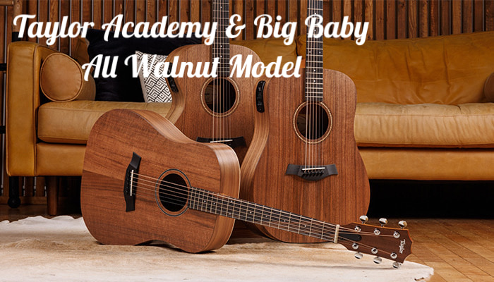 テイラーギターズのAcademy ＆ Big Babyシリーズにオール・ウォルナット・モデルが登場！