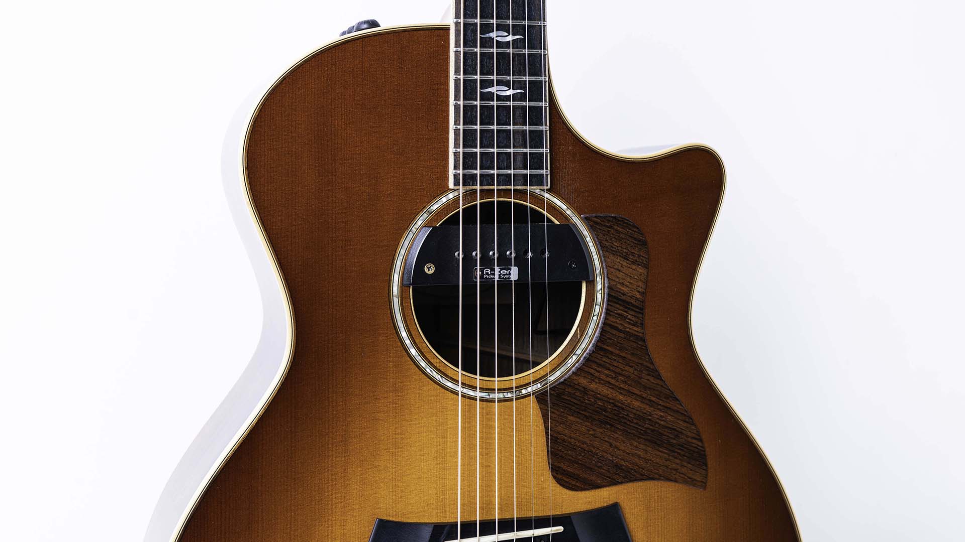 Aoi MichellEのパーカッシブなギター・プレイを生み出す愛器＝Taylor 814ce SB