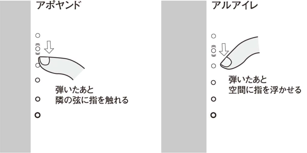 アポヤンドとアルアイレ