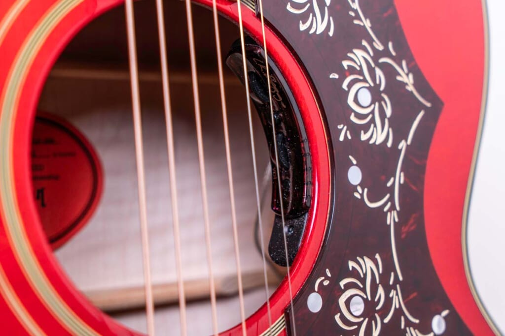 L.R.バッグス／Orianthi Pickup System