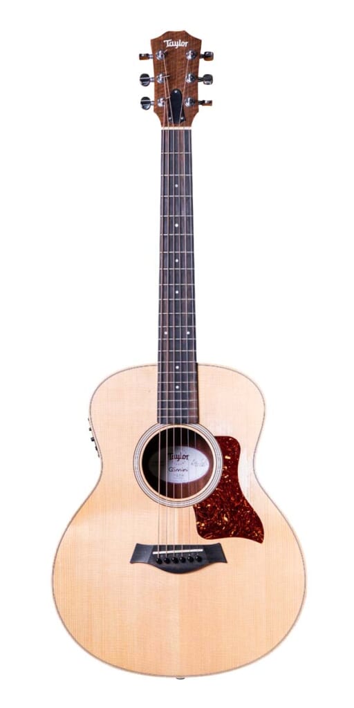 Taylor／GS Mini-e（前面）