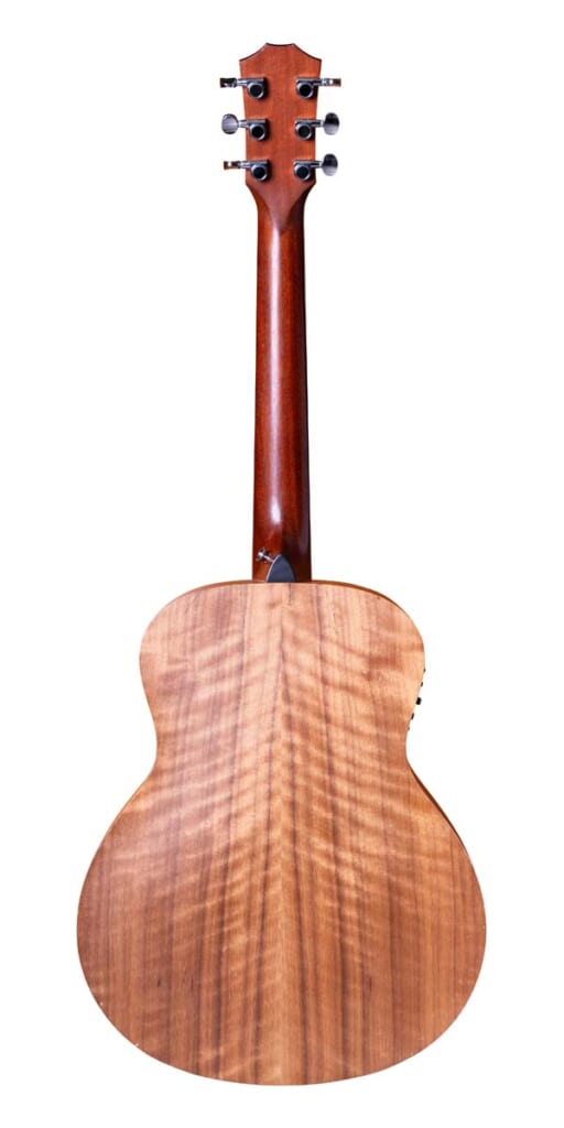 Taylor／GS Mini-e（前面）