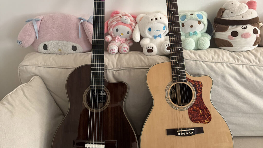 メイ・シモネスが1st作『アニマル』で使用した3本のアコースティック・ギター