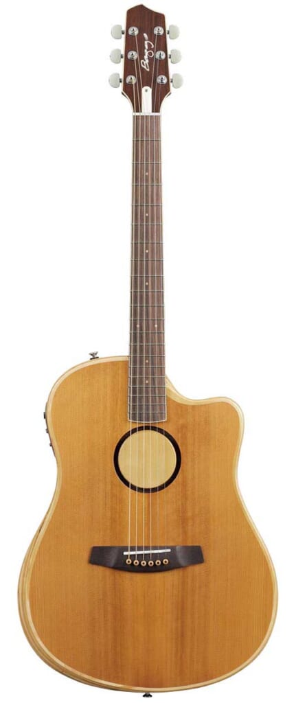 L.R. BAGGS／AEG-1 TOR（表面）