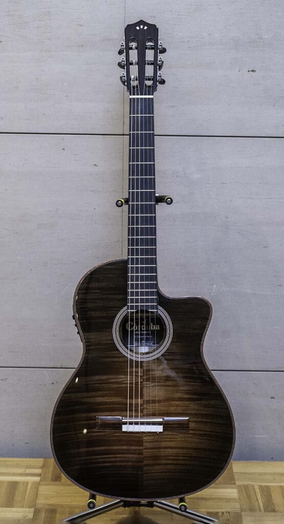 Fusion 12 CINNAMON BURST