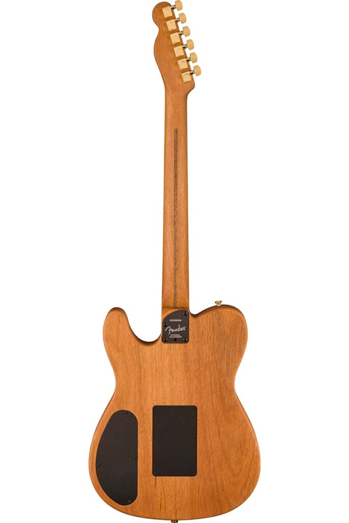 American Acoustasonic Telecaster Blue Flower（背面）