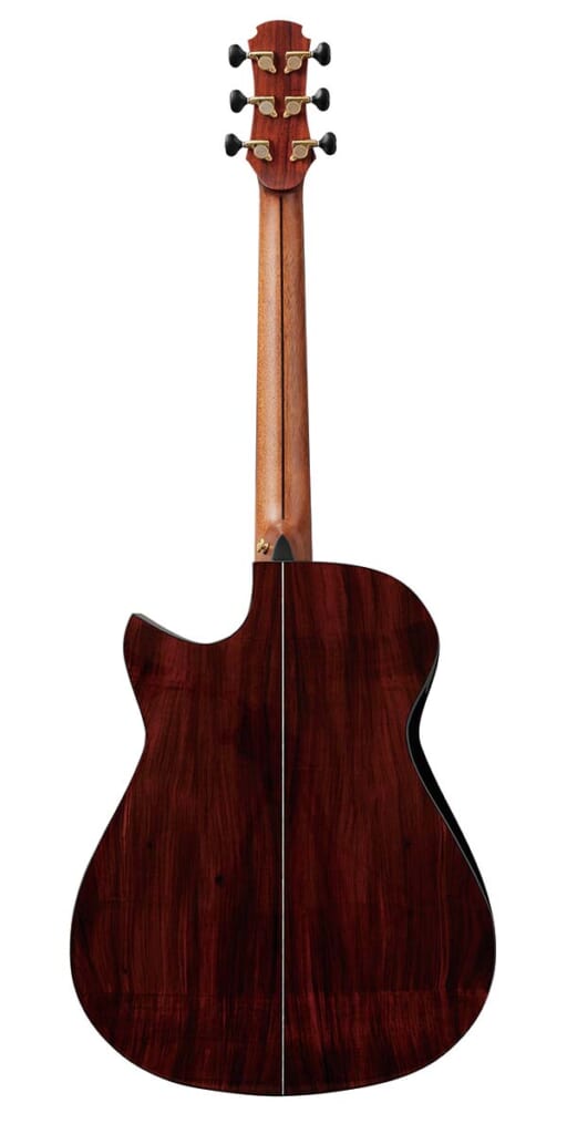 HOZEN GUITARS／Modified Dreadnought Falcate（背面）
