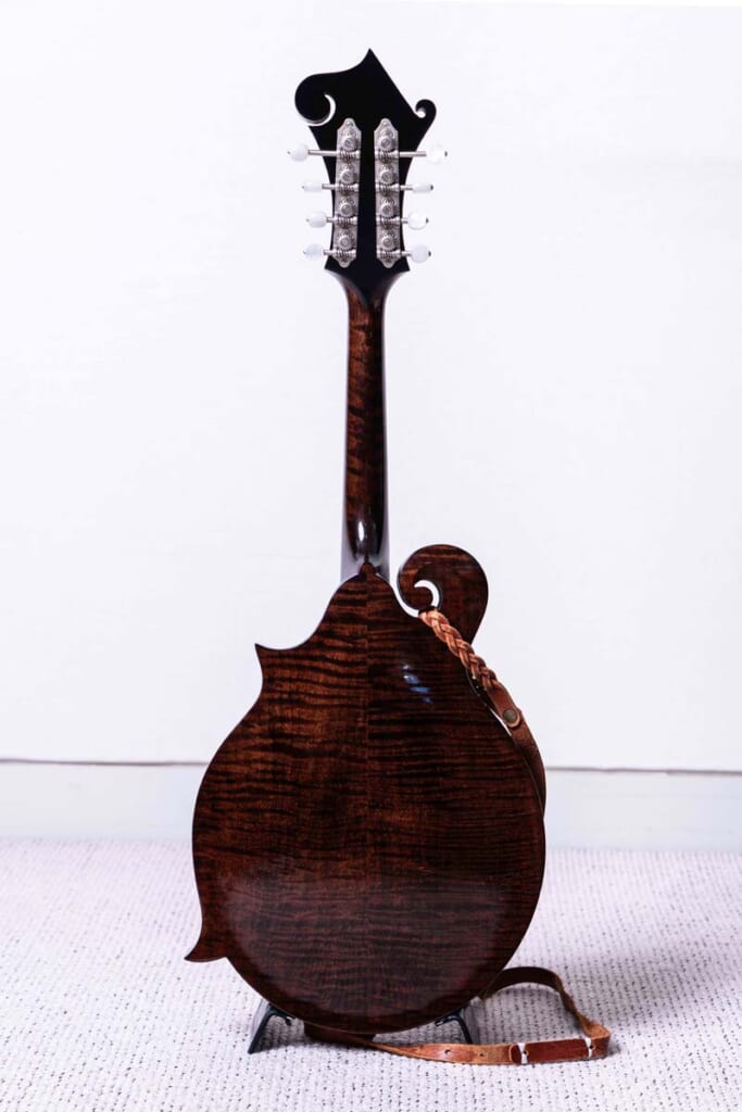 Gibson／F-5G（背面）