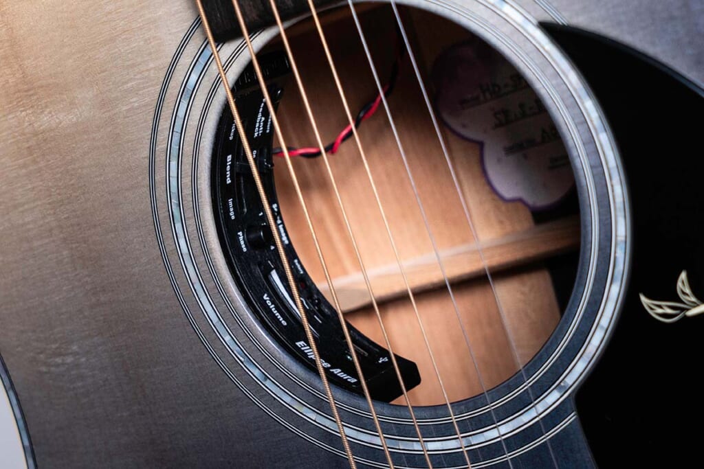 Fishman／Ellipse Aura