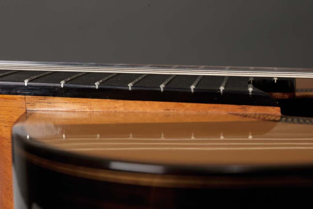 エレベーテッド・フィンガーボード