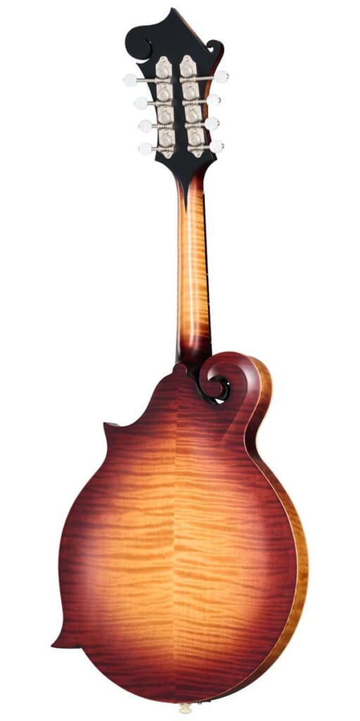 Sierra Hull F-5G Mandolin（背面）