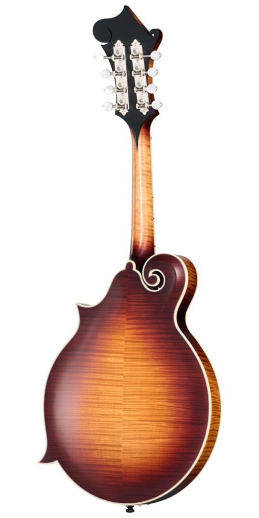 Sierra Hull F-5 Master Model Mandolin（背面）
