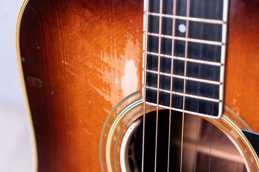 ボディ・トップ