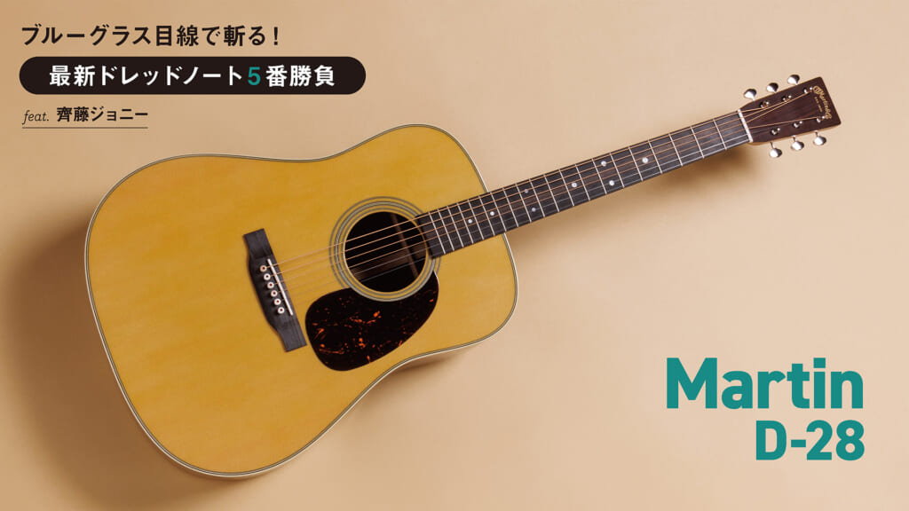 Martin／D-28
