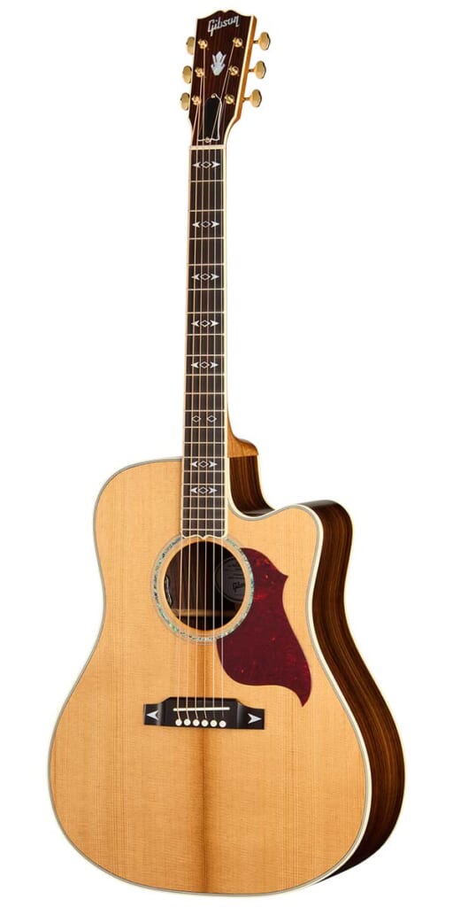 Songwriter Recording Artist EC（Antique Natural）