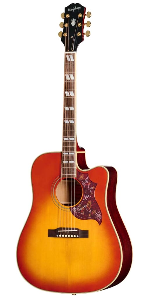 Hummingbird Standard EC