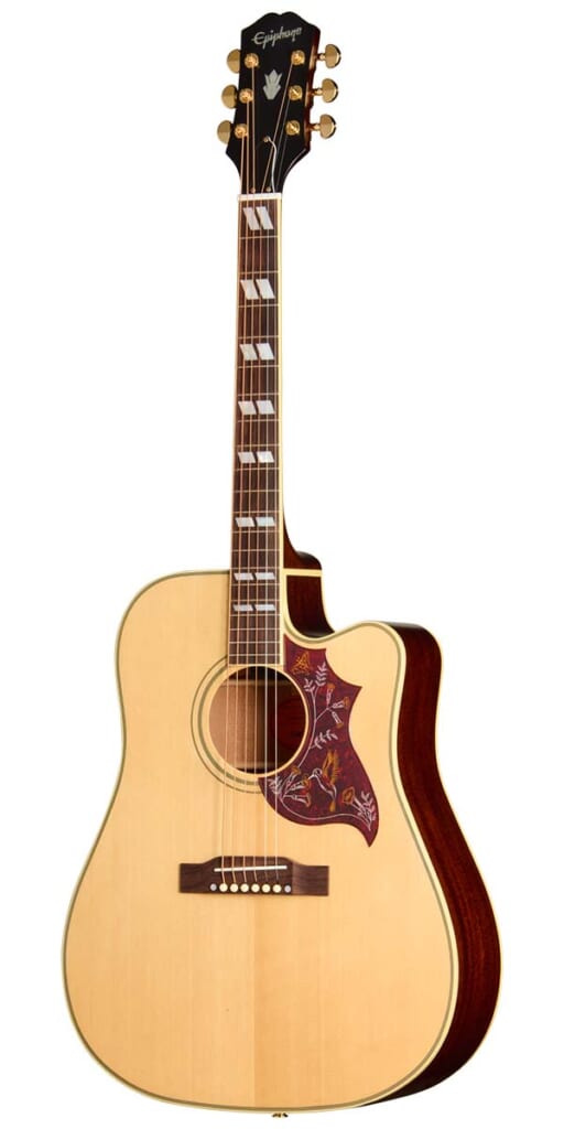 Hummingbird Standard EC(Natural)/前面