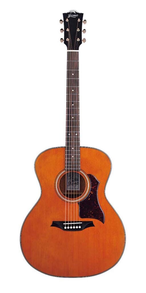 Bromo Guitars/BAN2V(前面)