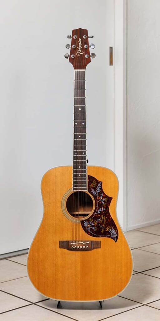 Takamine/TS-600(前面)